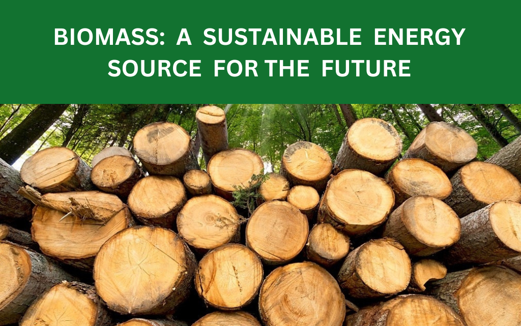 BIOMASS-SUSTAINABLE-ENERGY SOURCE-