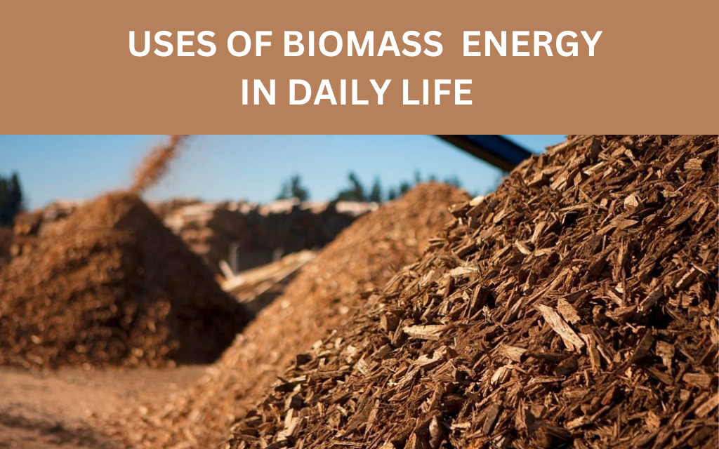 Uses-of-biomass-energy-in-daily-life